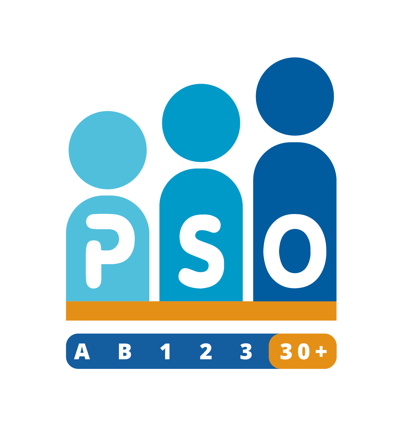 PSO certificering PSO certificering